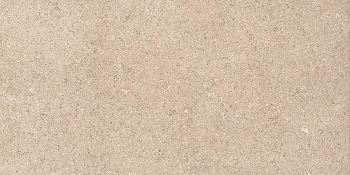 Dijon Limestone Taupe