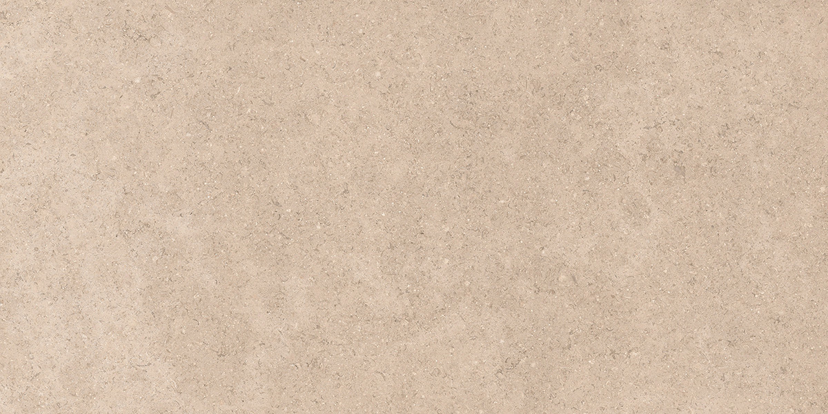 Dijon Limestone Taupe