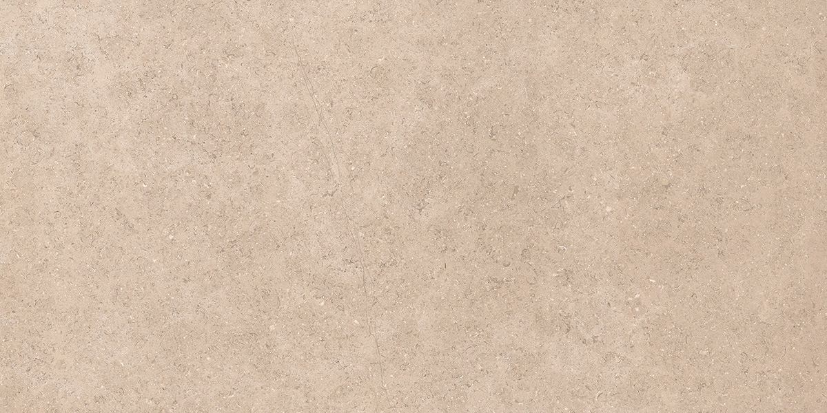 Dijon Limestone Taupe